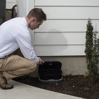 Aspen Pest Control - Aspen will keep your home rodent free - Pest Control Near Me - Vancouver, Washington