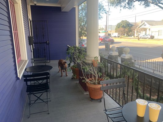 BOTANICALS NOLA by null