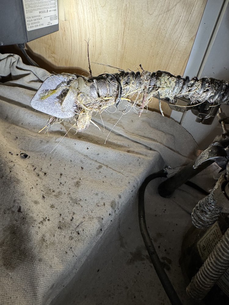 Slide of Root Busters