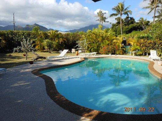 Papaya Paradise Bed & Breakfast by null