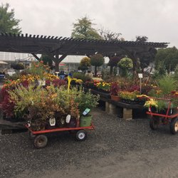 Seasons Four - Beautiful assortment of plants and flowers