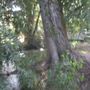 Photo of Queens Park