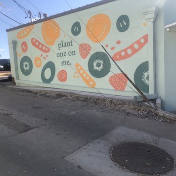 Plant - Building mural - Juice Bars & Smoothies Near Me - Oklahoma City, Oklahoma