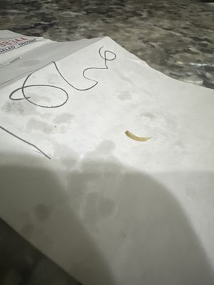 Coyote's Mexican Grill by null