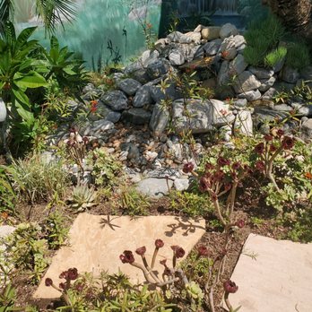Cake Buzz - a garden with rocks and plants - Desserts Near Me - Redondo Beach, California