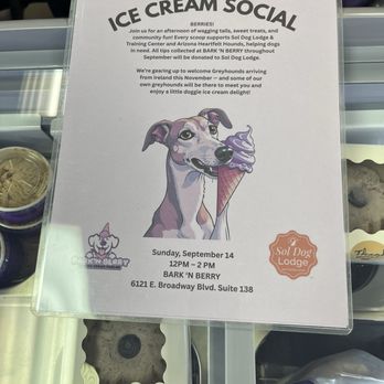 Bark 'N Berry - One of the cool events they put on - ice cream socials for puppers - Pet Stores Near Me - Tucson, Arizona Bark 'N Berry - One of the cool events they put on - ice cream socials for puppers - Pet Stores Near Me - Tucson, Arizona