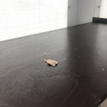 L'Goff Moving Services - They put both of my dressers upside down broke all the drawers and destroyed the legs on two of the dressers. - Movers Near Me - Athens, Georgia