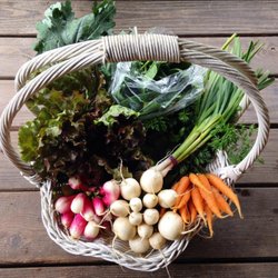 Another CSA Farm Share