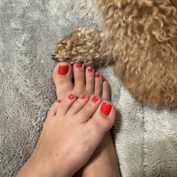 Pedicure Pedicure