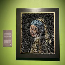 Vermeer Centrum Delft