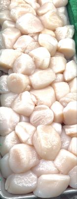 Acton Seafood and Burger Company by null