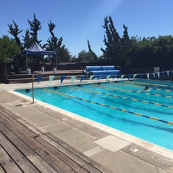 Golden Bear pool on a sunny day