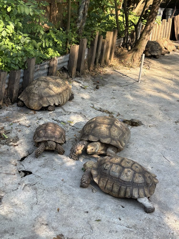 Social spots from Croc Encounters