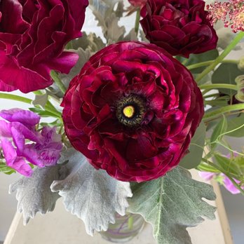 Sandoval and Sons Flower Grower - This field grown ranunculus crimson color is beautiful. Thank you for growing this! - Pick Your Own Farms Near Me - Bonsall, California Sandoval and Sons Flower Grower - This field grown ranunculus crimson color is beautiful. Thank you for growing this! - Pick Your Own Farms Near Me - Bonsall, California