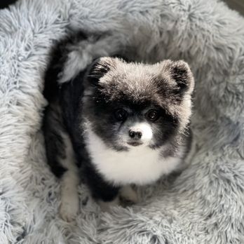 Pets Earth - Pet Stores Near Me - Omaha, Nebraska