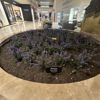 Bloomingdale's - Department Stores Near Me - Chestnut Hill, Massachusetts
