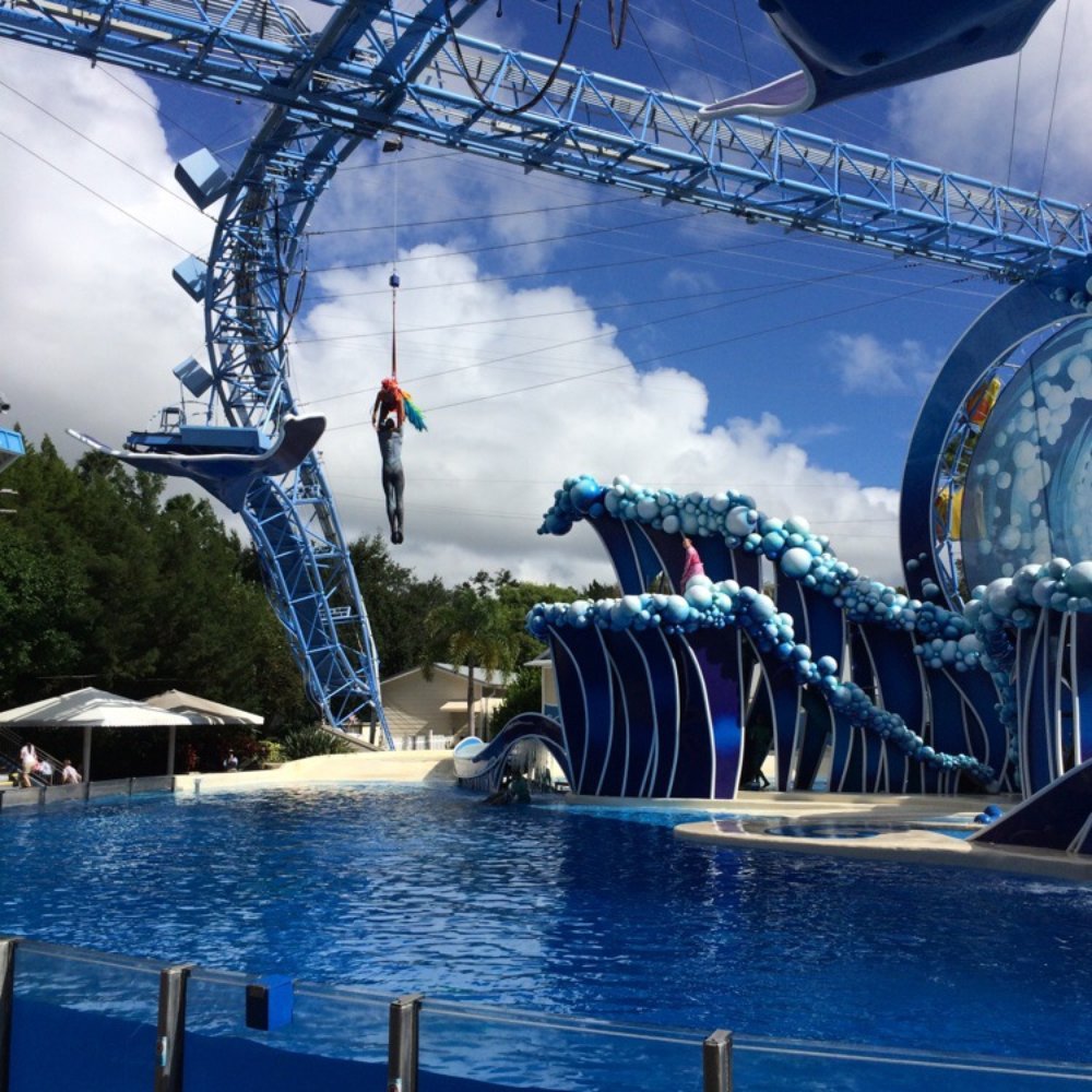 Dolphin Theater - Stadiums & Arenas Near Me - Orlando, Florida Dolphin Theater - Stadiums & Arenas Near Me - Orlando, Florida