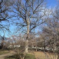 Central Park