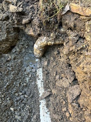 Emergency Fabulous Drain Cleaning / Clean up Service Logo