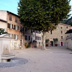 Chien D'Azur - PLACE HONORE BODIN