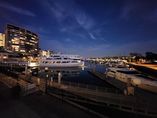 Killer Shrimp by null