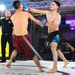 Mastering Martial Arts