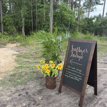 Wesley Wells Farm - This is new and so beautiful - Pick Your Own Farms Near Me - St. Augustine, Florida