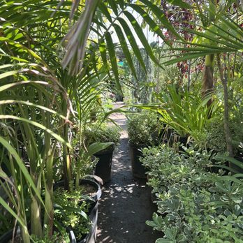 Evergreen Nursery - Very packed, but there is a lot! - Nurseries & Gardening Near Me - Garden Grove, California