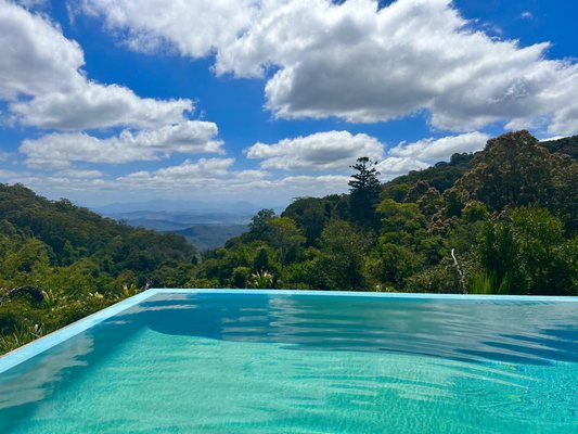 O'Reilly's Rainforest Retreat by null
