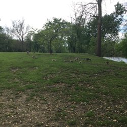 Kamm Island