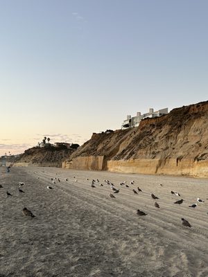 Fletcher Cove Beach Park by null