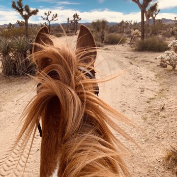 Yucca Valley Equestrian Center - Yucca Valley, California Yucca Valley Equestrian Center - Yucca Valley, California