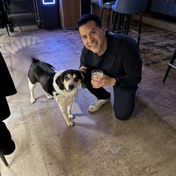 Dog friendly