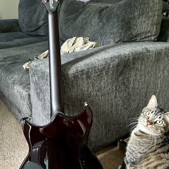 Five Star Guitars - Musical Instruments & Teachers Near Me - Beaverton, Oregon Five Star Guitars - Musical Instruments & Teachers Near Me - Beaverton, Oregon