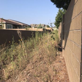 Dorn Homes - Now growing over the wall. - Home Developers Near Me - Prescott, Arizona