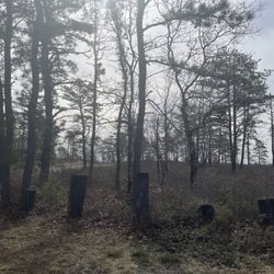 Myles Standish State Forest