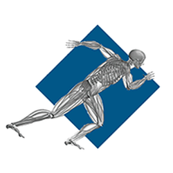Harwood Orthopedics: Maury Harwood, M.D - Practice Logo