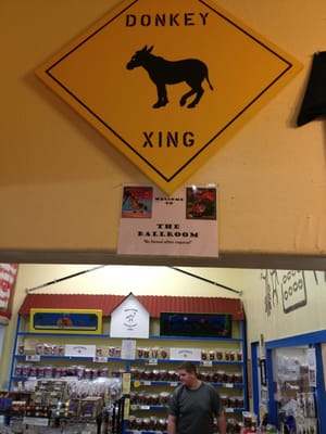 The Original Donkey Ball Store by null