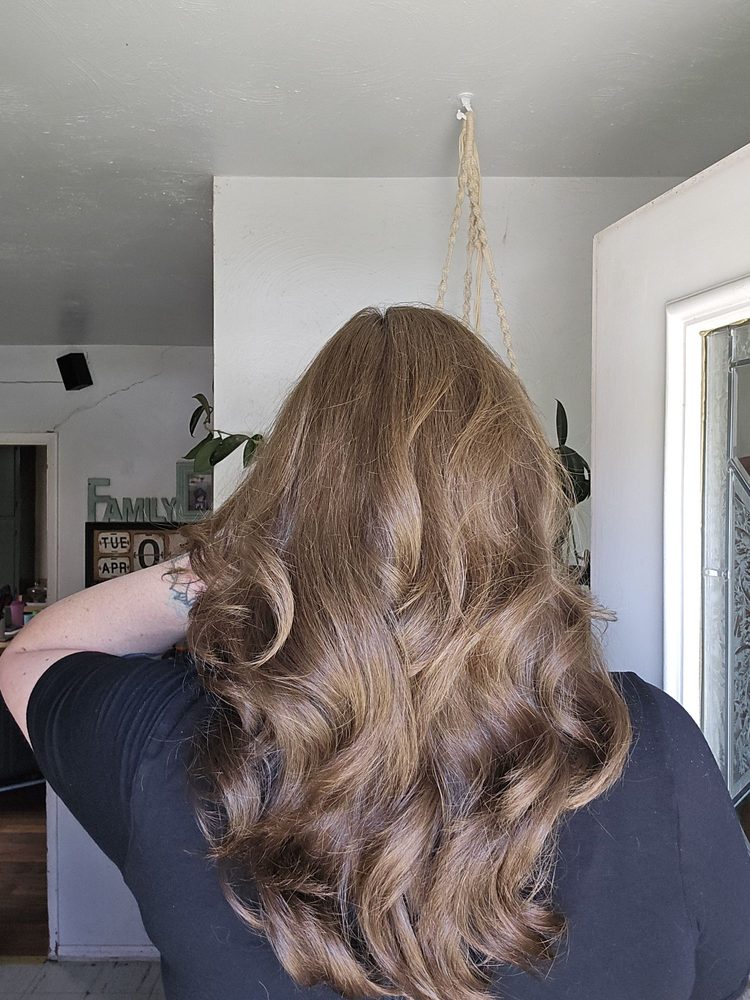 Cecilia's Hair Salon Logo