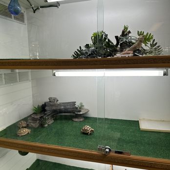 The Pet Shop - Local Fish Stores Near Me - San Bernardino, California The Pet Shop - Local Fish Stores Near Me - San Bernardino, California