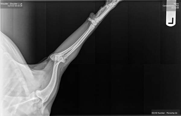 Lawndale Pet Hospital by null