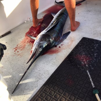Magic Sport Fishing - The sweet 5 foot Marlin we caught. About 50 lbs - Boating Near Me - Honolulu, Hawaii