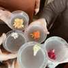 Techo Mezcaleria & Agave Bar gift card
