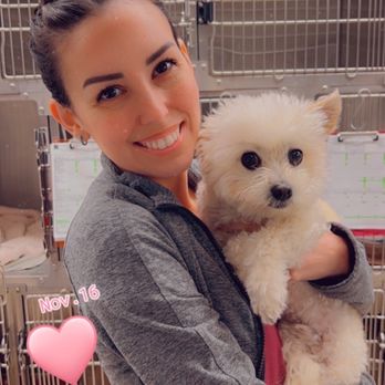 Precision Veterinary Surgery - Sydney from Precision and my Rocky boy getting his 2nd CCL surgery - Veterinarians Near Me - Mission Viejo, California