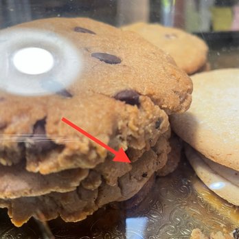 Mr Toots Coffeehouse - Flies in the pastry case and walking all over the uncovered food. Everything else besides the cookies were wrapped in plastic wrap. - Coffee & Tea Near Me - Capitola, California Mr Toots Coffeehouse - Flies in the pastry case and walking all over the uncovered food. Everything else besides the cookies were wrapped in plastic wrap. - Coffee & Tea Near Me - Capitola, California