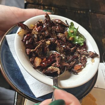 Kie-Gol-Lanee Logan Square - Chapulines-seasoned grasshoppers - Mexican Near Me - Chicago, Illinois Kie-Gol-Lanee Logan Square - Chapulines-seasoned grasshoppers - Mexican Near Me - Chicago, Illinois