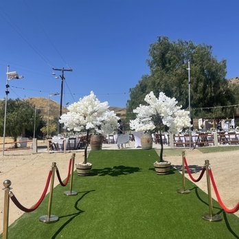 Noho Party Rental - Party Equipment Rentals Near Me