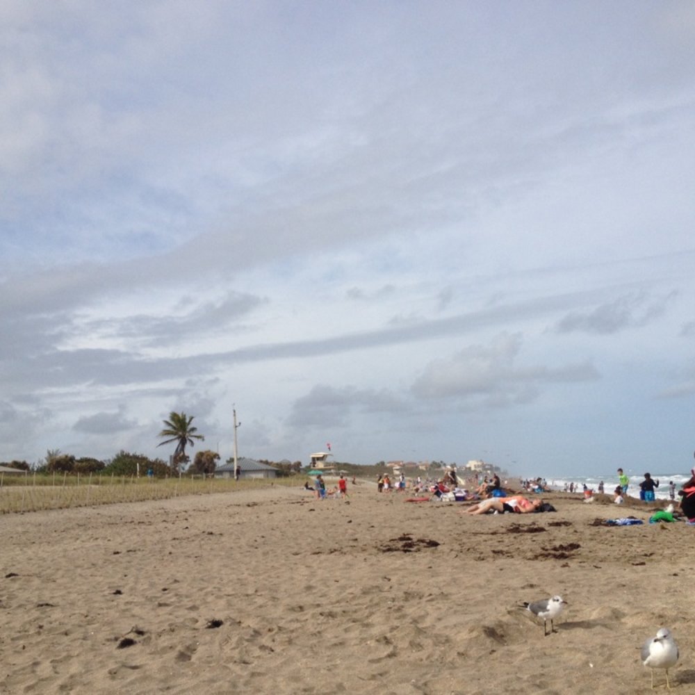 Jensen Beach - Busy with lots of people today, and also had dry sea weed all around. - Beaches Near Me - Jensen Beach, Florida Jensen Beach - Busy with lots of people today, and also had dry sea weed all around. - Beaches Near Me - Jensen Beach, Florida