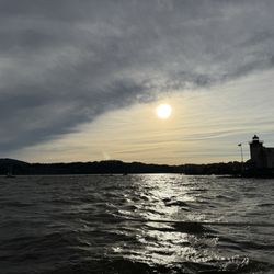 Black Swan Sailing