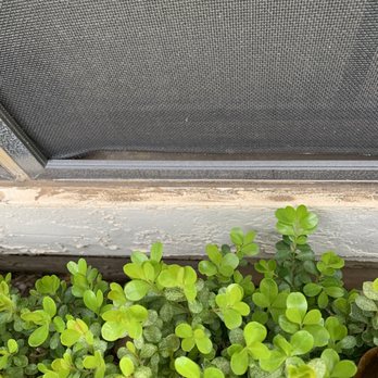 Alamo Custom Solar Screens - Shades & Blinds Near Me - Cibolo, Texas Alamo Custom Solar Screens - Shades & Blinds Near Me - Cibolo, Texas